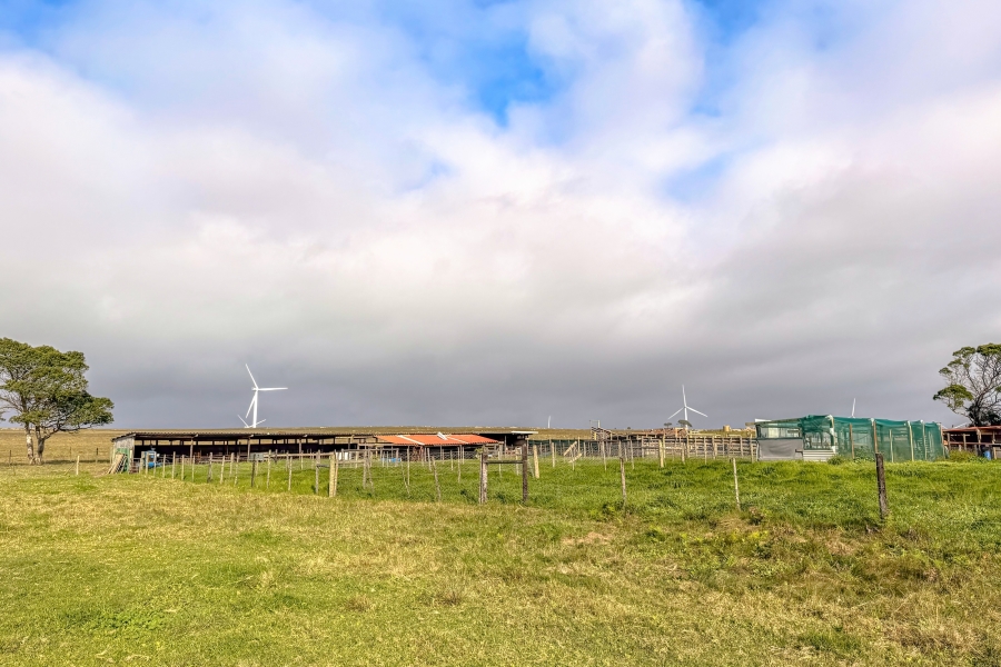0 Bedroom Property for Sale in Humansdorp Rural Eastern Cape